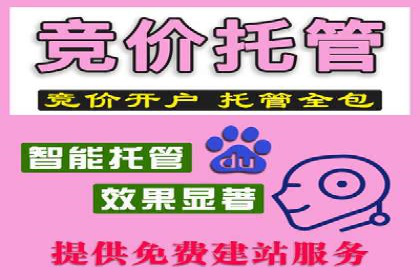 电商行业中的信息流大师案例分享